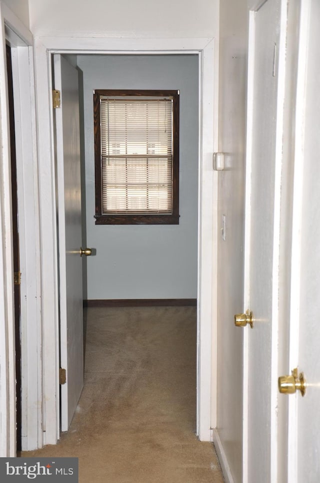 hall featuring baseboards and carpet flooring