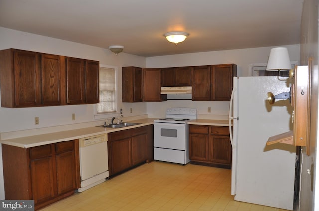 kitchen with under cabinet range hood, white appliances, a sink, light countertops, and light floors