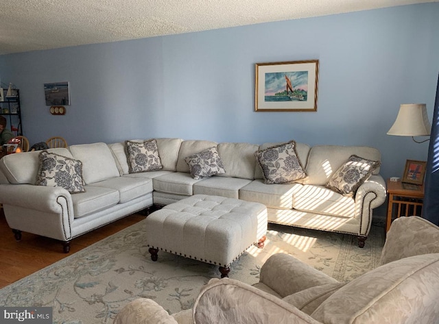 living room with wood finished floors and a textured ceiling