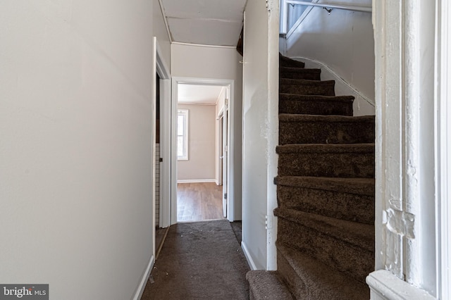 stairway featuring baseboards and carpet