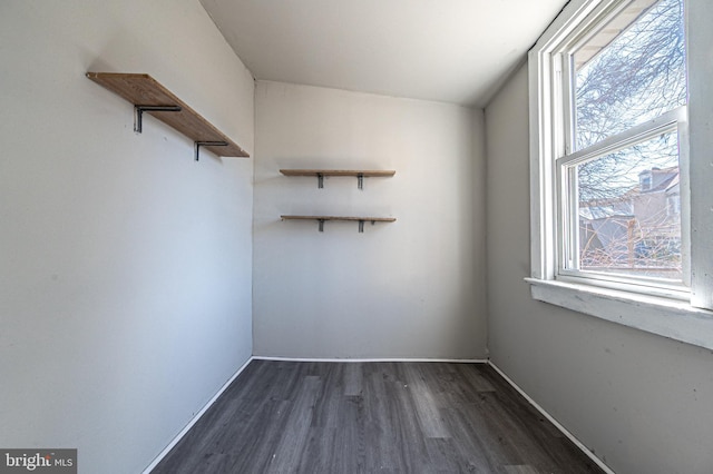 spacious closet featuring dark wood finished floors