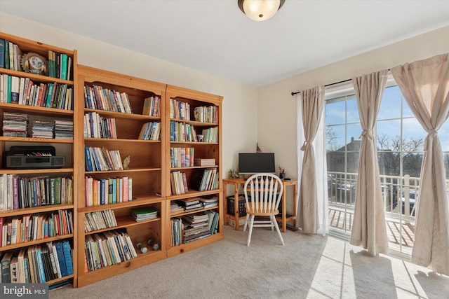 living area with carpet flooring