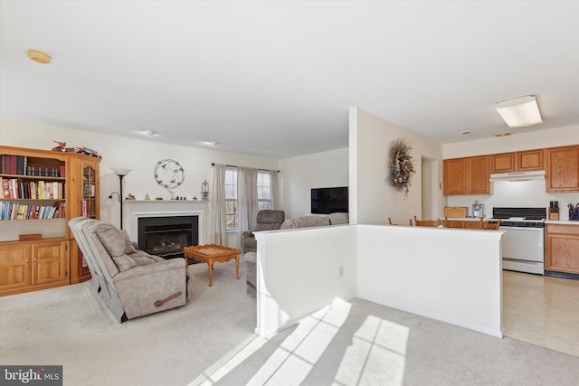 living area featuring a glass covered fireplace