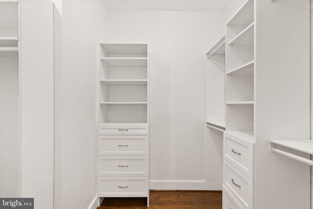 spacious closet with dark wood-style floors