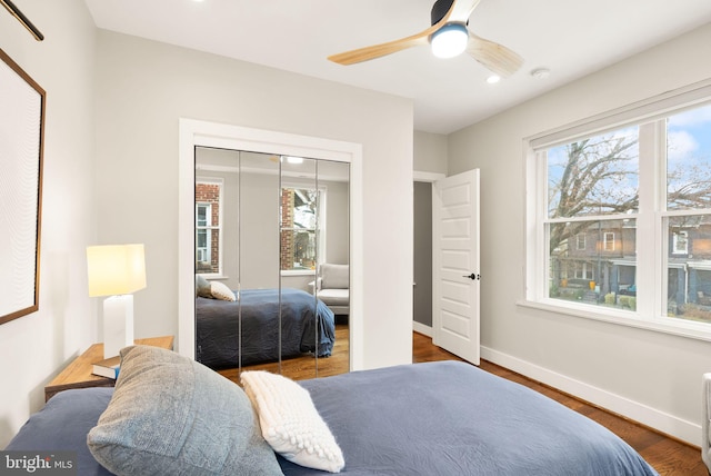 bedroom featuring multiple windows, wood finished floors, baseboards, and a closet