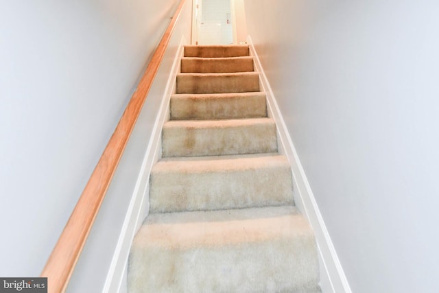 stairway featuring carpet