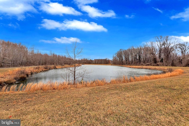 water view featuring a wooded view