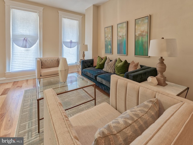 living area with wood finished floors and a healthy amount of sunlight