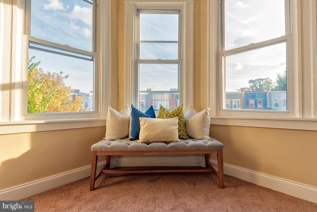 living area with carpet flooring and baseboards