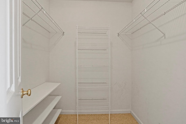 view of spacious closet