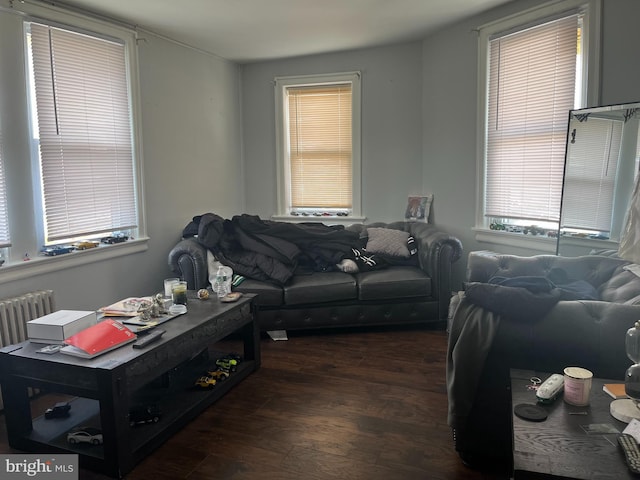 living area with radiator and dark wood finished floors