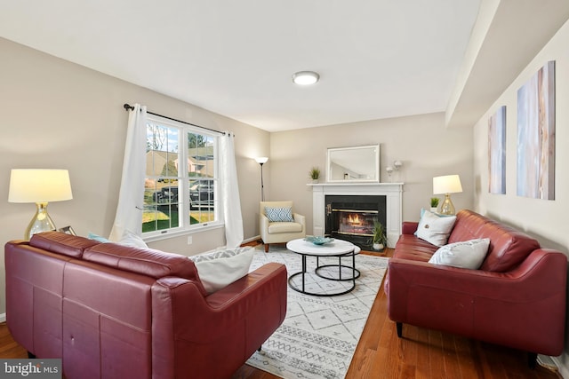 living room with a glass covered fireplace and wood finished floors