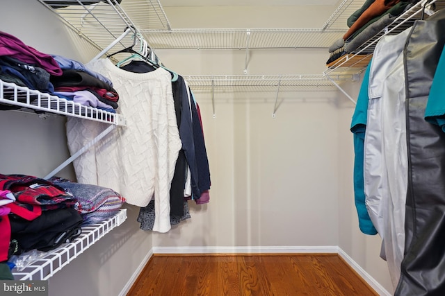 spacious closet featuring wood finished floors