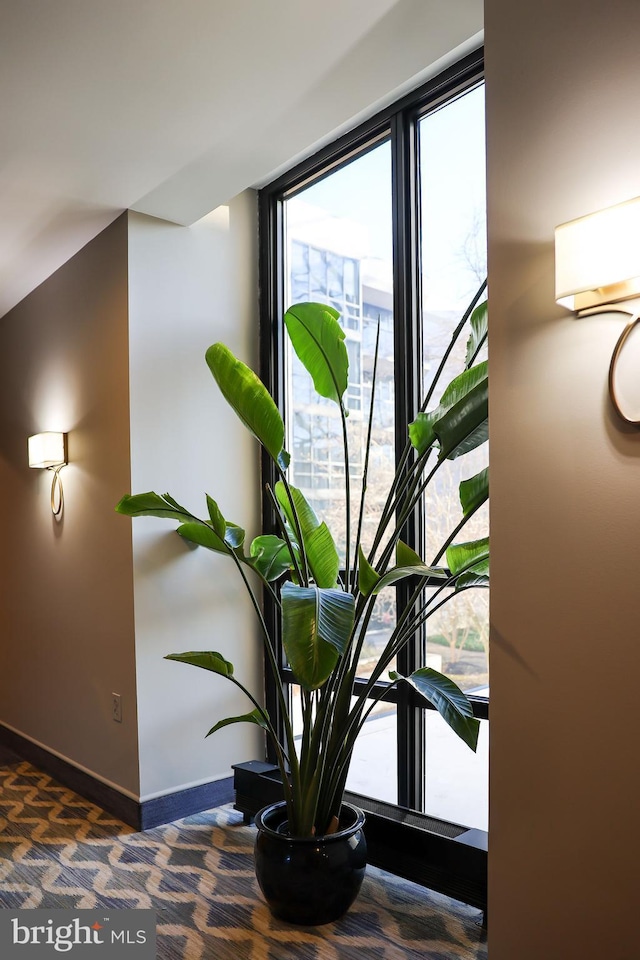 details featuring baseboards and carpet flooring