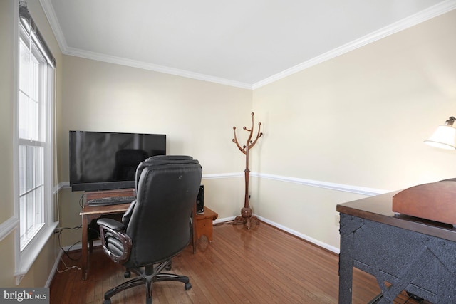 office space with hardwood / wood-style flooring, baseboards, and crown molding