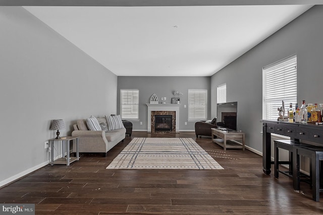 living room with a fireplace, baseboards, and wood finished floors