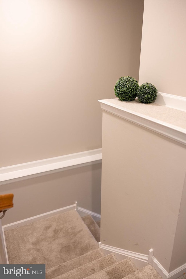 stairs with baseboards and carpet