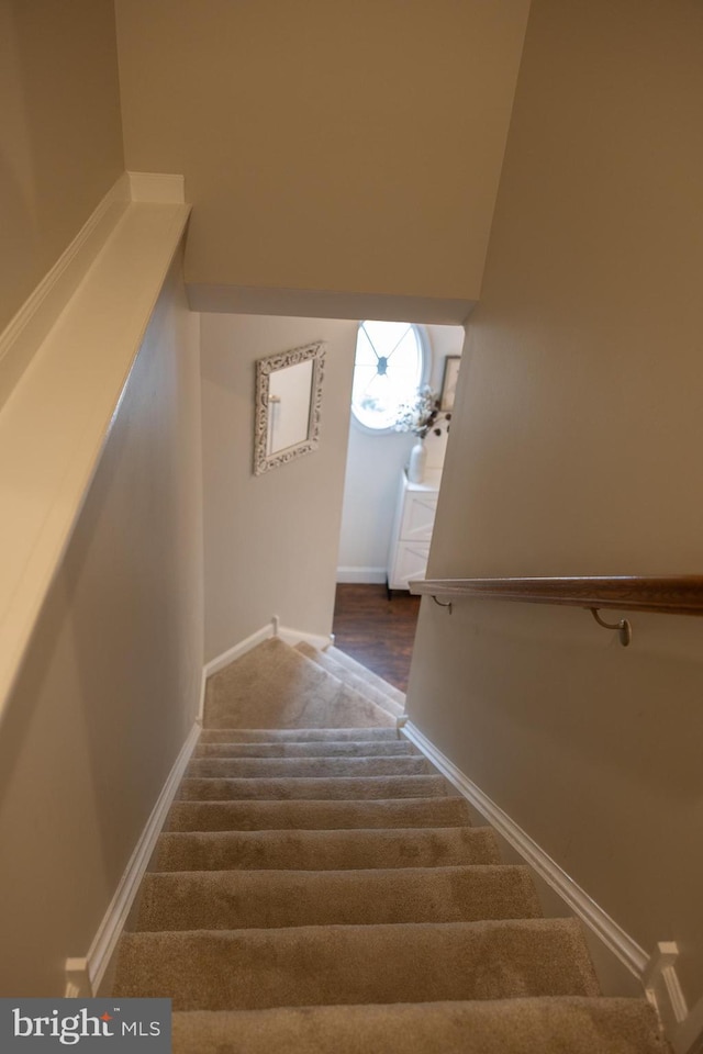 staircase featuring baseboards and carpet