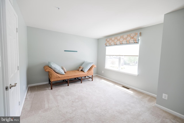 2820 Union Square Rd Unit 5, New Windsor, MD 21776 - sitting room with carpet and baseboards