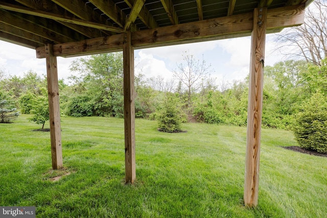 2820 Union Square Rd Unit 5, New Windsor, MD 21776 - view of green lawn