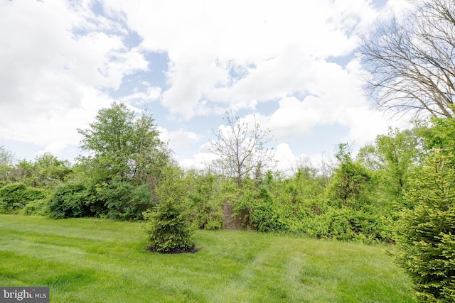 2820 Union Square Rd Unit 5, New Windsor, MD 21776 - view of yard with a forest view