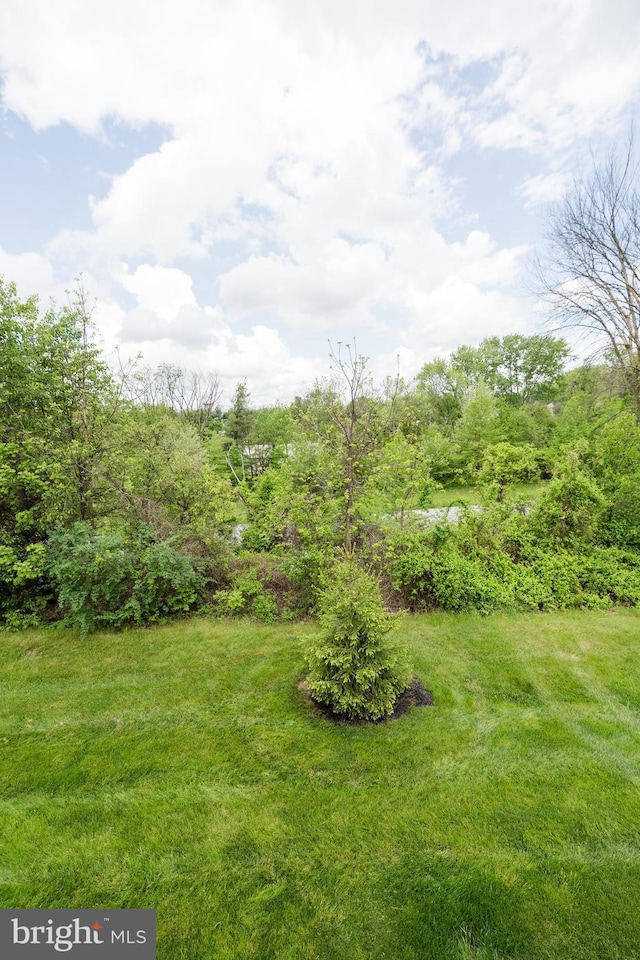2820 Union Square Rd Unit 5, New Windsor, MD 21776 - view of green lawn
