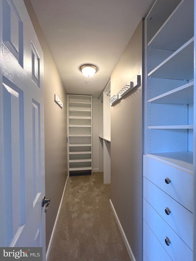walk in closet featuring dark colored carpet