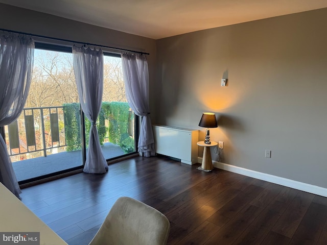 interior space with dark wood-style floors and baseboards