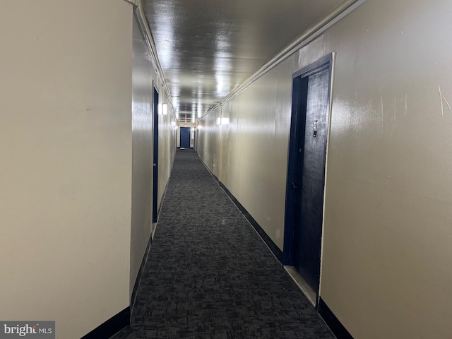 hallway featuring carpet flooring