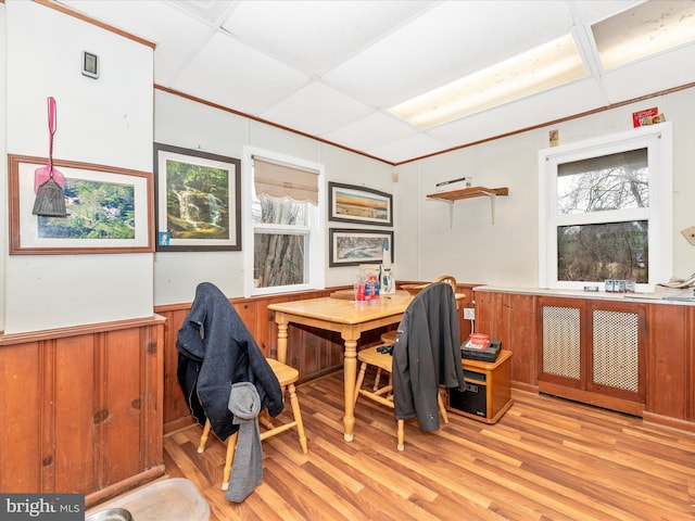 dining room featuring a paneled ceiling, light wood finished floors, and wainscoting