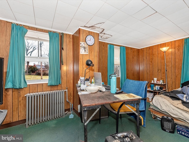 carpeted bedroom with wood walls and radiator heating unit