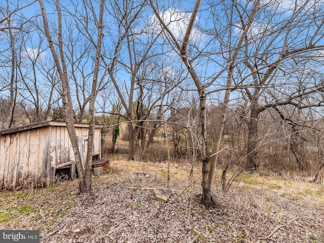 view of yard featuring an outbuilding