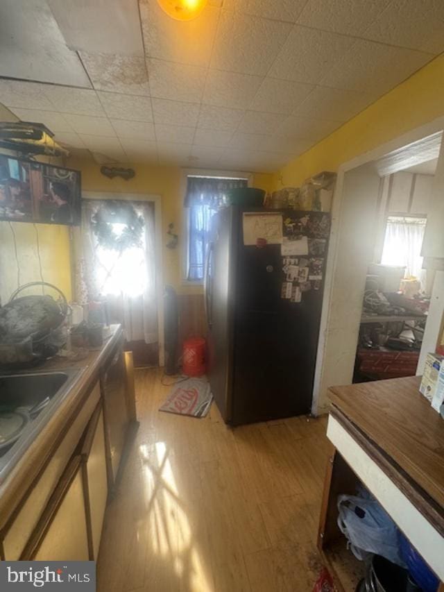 kitchen with light wood-style flooring, a drop ceiling, and freestanding refrigerator