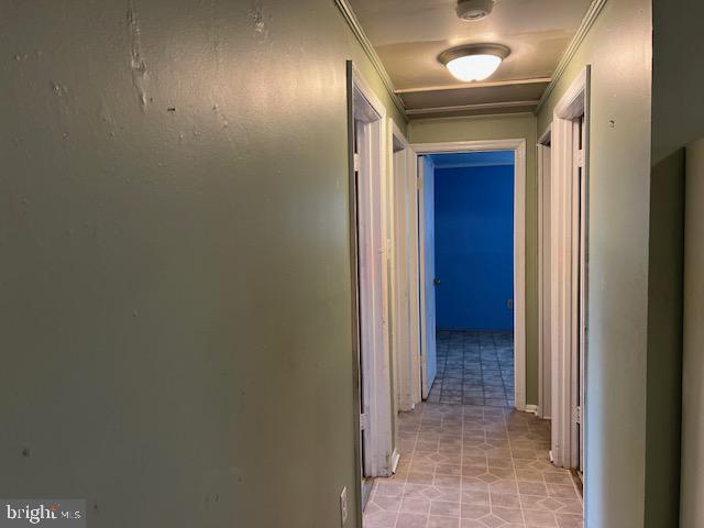 hall featuring light tile patterned floors and crown molding