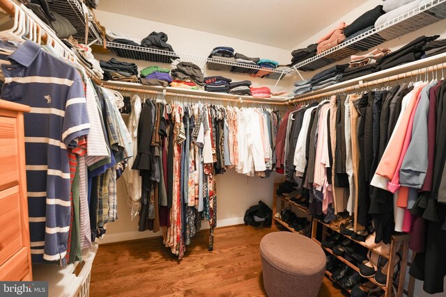 walk in closet featuring wood finished floors