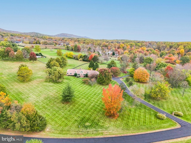 drone / aerial view with a mountain view