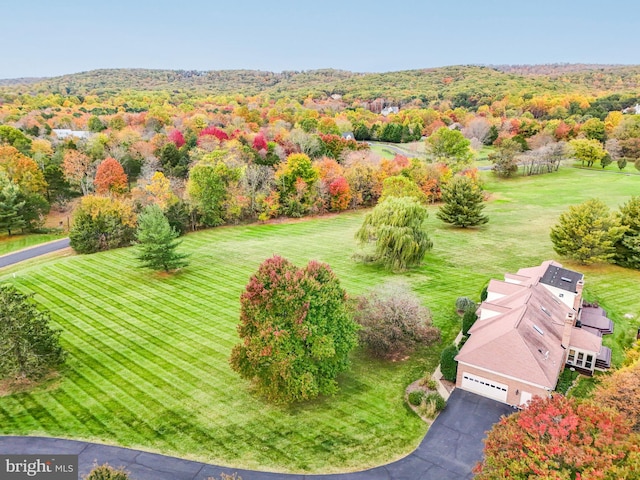 aerial view with a wooded view