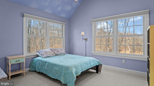 bedroom featuring multiple windows, lofted ceiling, and carpet