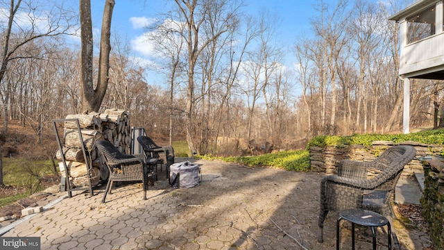 view of yard featuring a patio area