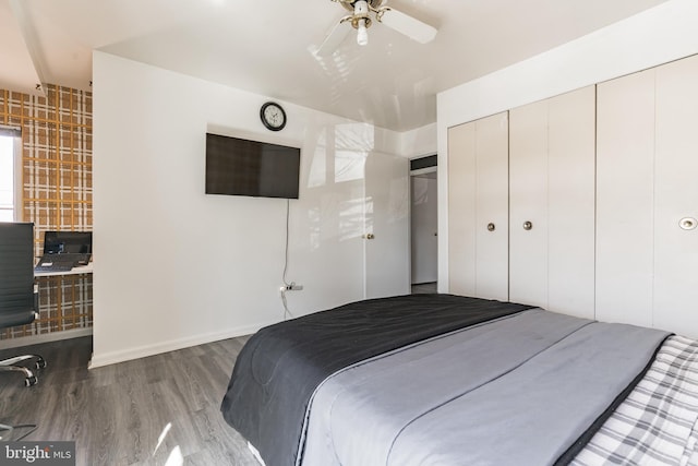 bedroom with a closet, ceiling fan, and wood finished floors