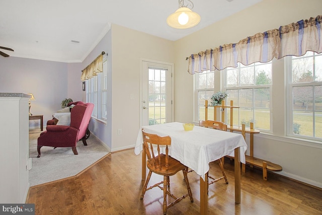 dining space featuring a wealth of natural light, baseboards, light wood-style floors, and ornamental molding