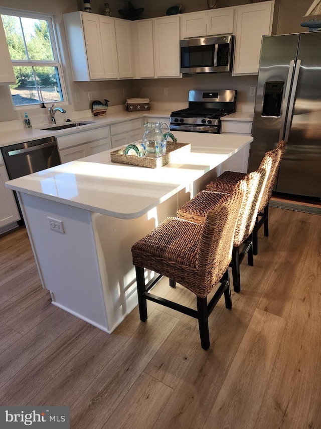 kitchen featuring appliances with stainless steel finishes, a sink, and wood finished floors