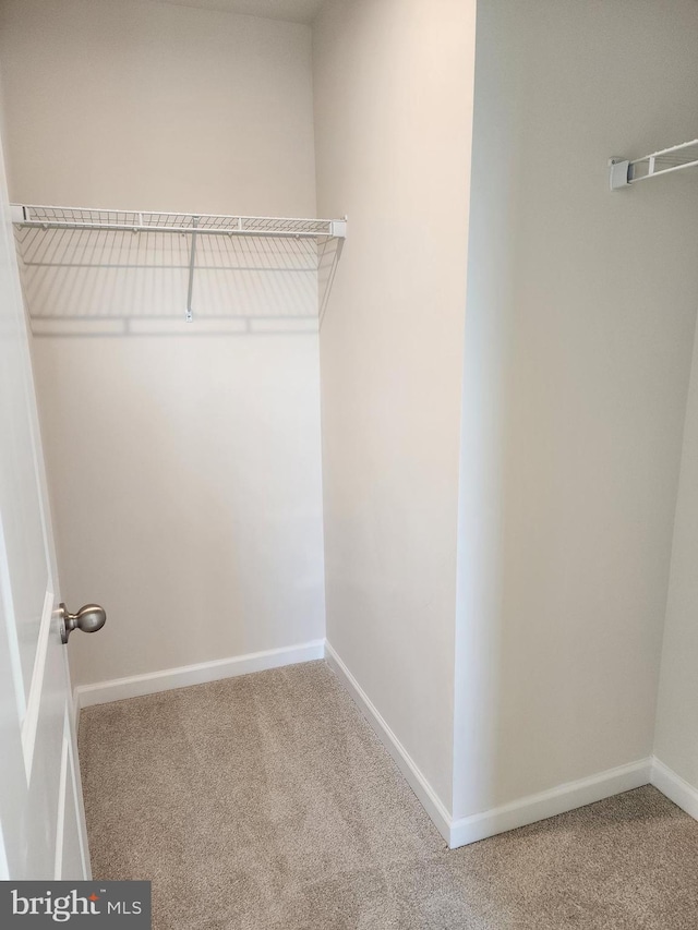 walk in closet with carpet