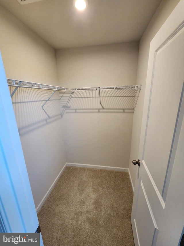 spacious closet featuring carpet floors