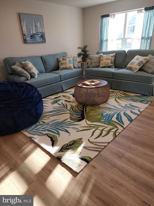 living room featuring wood finished floors