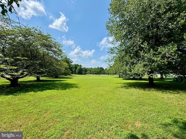 view of yard