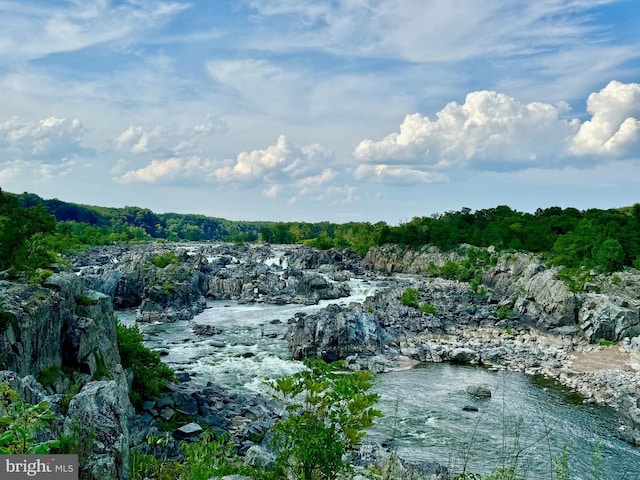 water view with a wooded view