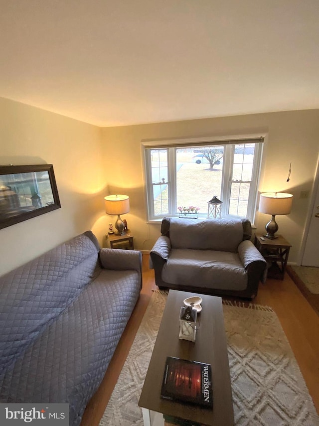 living room with wood finished floors