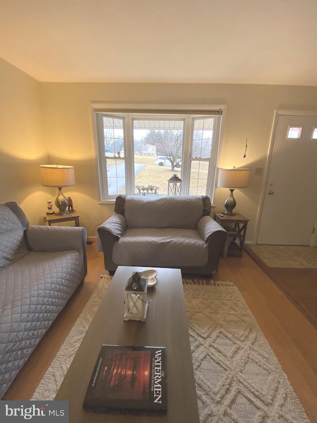 living area with wood finished floors