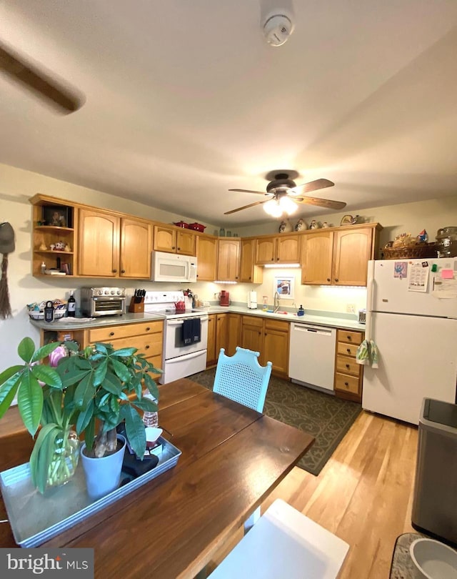 kitchen featuring white appliances, a ceiling fan, open shelves, light wood-style flooring, and a toaster